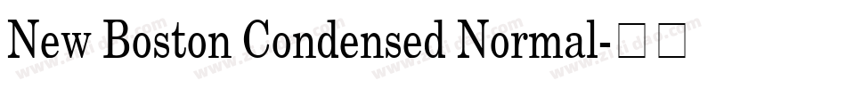 New Boston Condensed Normal字体转换
